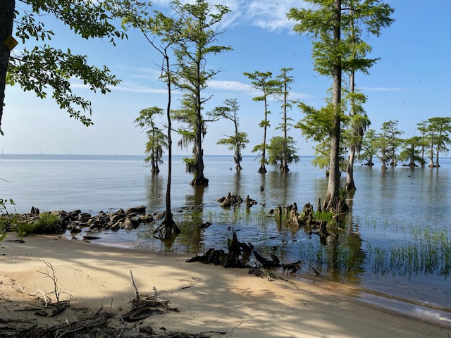 Spruill Farm by the Albemarle Sound